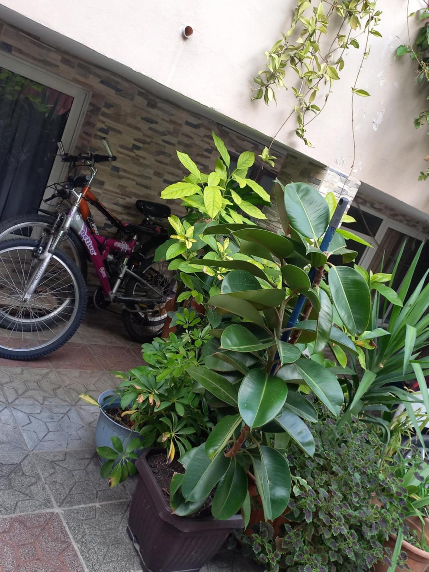 Flowers Guesthouse Тирана Екстериор снимка